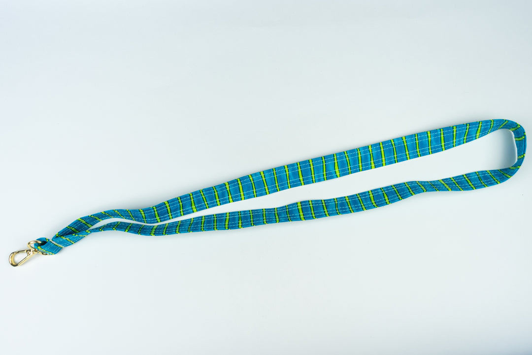 Lanyard - Blue & Green Stripe